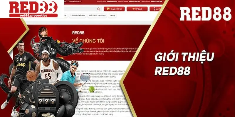 Giới thiệu sơ lược về nhà cái Red88