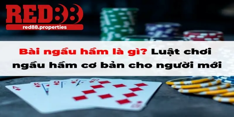 bài ngầu hầm là gì