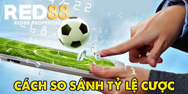 Lý do bet thủ cần biết so sánh tỷ lệ cược