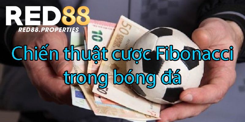 Hướng dẫn áp dụng chiến thuật vào cá cược bóng đá