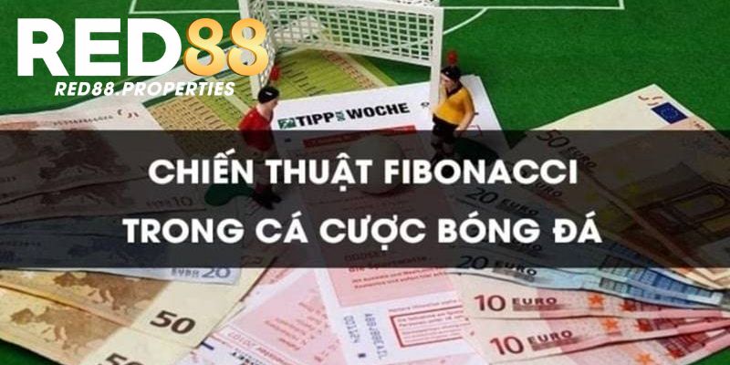 Lưu ý khi sử dụng Fibonacci trong cá cược bóng đá