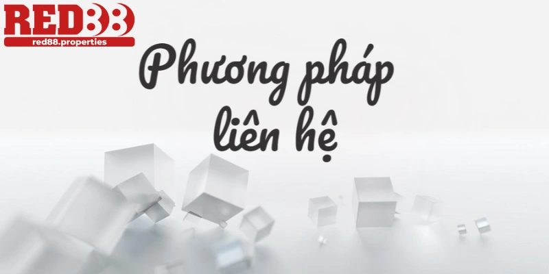 Top những câu hỏi thường gặp khi liên hệ Red88